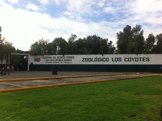 Zoologico Los Coyotes